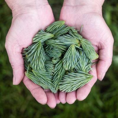 智慧制造创意科技
